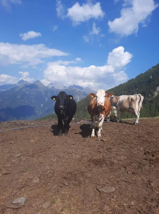 Alloggio Del Contadino Sondrio Exterior foto